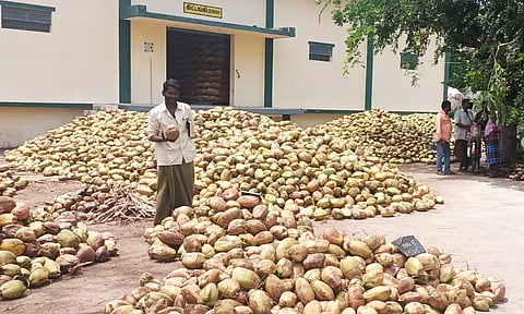 எழுமாத்தூரில் ரூ.1 லட்சத்து 4 ஆயிரத்துக்கு தேங்காய் ஏலம்