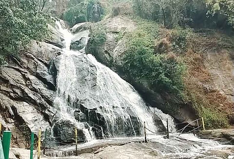 பொள்ளாச்சி கவியருவிக்கு 2 நாளில் 2 ஆயிரம் சுற்றுலா பயணிகள் வருகை
