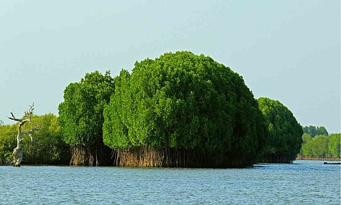 கோப்புபடம்.&nbsp;