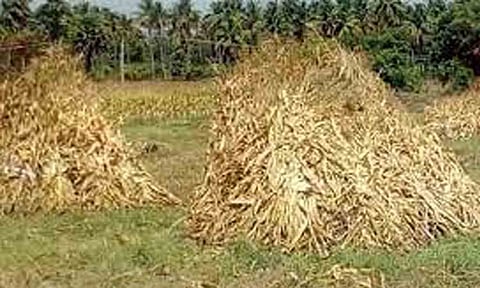 கோப்புபடம்.&nbsp;