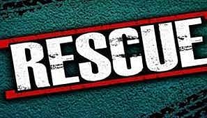 கடலூர் அருகே சொர்ணாவூர் அணைக்கட்டில்  மூழ்கி  பலியான வாலிபர் உடல் மீட்பு