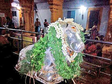 பிரதோஷத்தை முன்னிட்டு கோவில் நந்தி சிலை அலங்கரிப்பட்டது