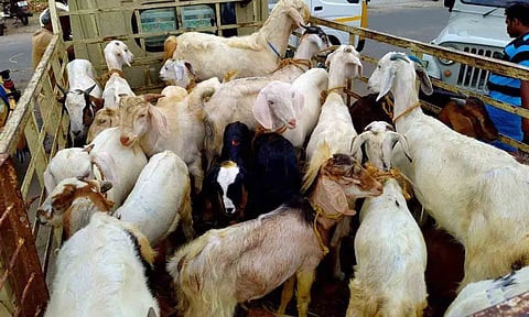 கோப்புபடம்.&nbsp;