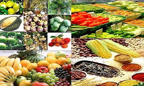 கோப்புபடம்.&nbsp;