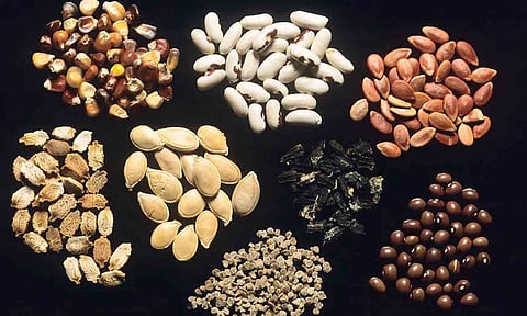 கோப்புபடம்.&nbsp;