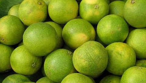 சேலம் மார்க்கெட்டுக்கு சாத்துக்குடி வரத்து அதிகரிப்பு