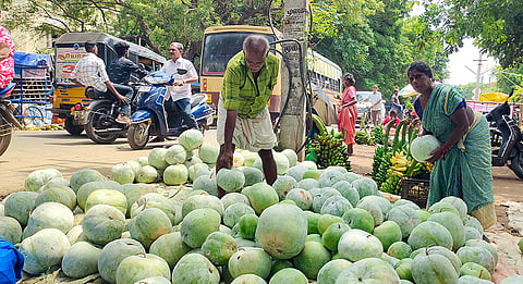 விற்பனைக்கு வந்த பூசணிக்காய்களை படத்தில் காணலாம்.&nbsp;