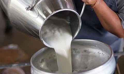 கோப்புபடம்.&nbsp;