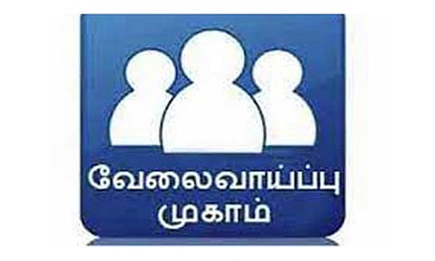 கிருஷ்ணகிரி அரசு மகளிர் கலைக்கல்லூரியில் பெண்களுக்கான சிறப்பு தனியார் வேலை வாய்ப்பு முகாம் -15-ந் தேதி நடக்கிறது