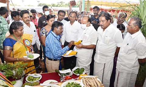 மதுரை  ஒத்தக்கடை அரசு வேளாண் கல்லூரியில் நடந்த மாநில அளவிலான உழவர் திருவிழாவில் அமைச்சர்கள் எம்.ஆர்.கே.பன்னீர்செல்வம், பி.மூர்த்தி ஆகியோர் பங்கேற்று கண்காட்சியை பார்வையிட்டனர். அருகில் முதன்மை செயலாளர் சமயமூர்த்தி, கலெக்டர் அனீஷ் சேகர், பூமிநாதன் எம்.எல்.ஏ., வேளாண் பல்கலைக் கழக துணைவேந்தர் கீதாலடசுமி  உள்ளனர்.