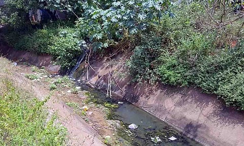 கோப்புபடம்.&nbsp;