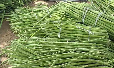 கோப்புபடம்.