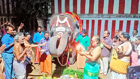 கோமதி யானைக்கு தீபாராதனை நடந்தபோது எடுத்தபடம்.
