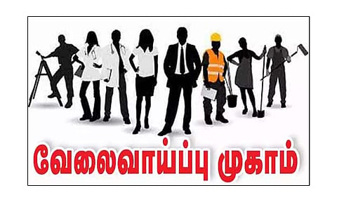 வேலைவாய்ப்பு, தொழில் நெறி வழிகாட்டும் மையம் சார்பில் தனியார் வேலைவாய்ப்பு முகாம் - 28-ந் தேதி ஆலங்குளத்தில் நடக்கிறது