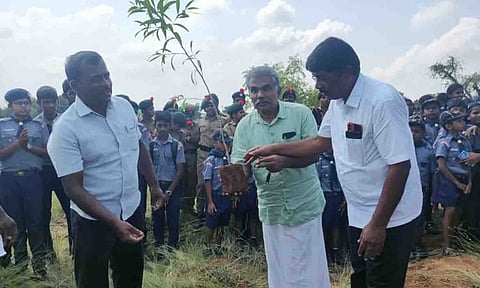 மரக்கன்றுகள் நடவு செய்யப்பட்ட காட்சி.
