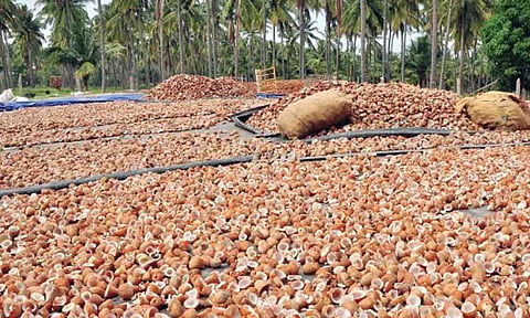 கோப்புபடம்.&nbsp;