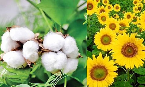 கோப்புபடம்.&nbsp;