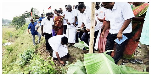 2 ஆயிரம் பனை விதைகள் நடும் பணி