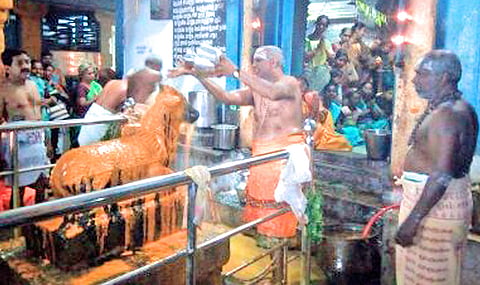சனி பிரதோச வழிப்பாட்டு பூஜை நடைபெறுவதை படத்தில் காணலாம்