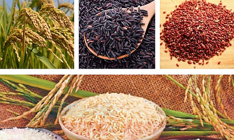 வேளாண் விளைபொருட்கள் மதிப்பு கூட்டுதல் பயிற்சி
