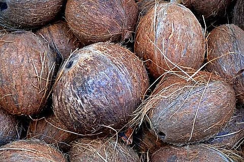 ரூ.5¾ லட்சத்துக்கு  தேங்காய் ஏலம்