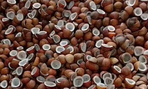 கோப்புபடம்.&nbsp;
