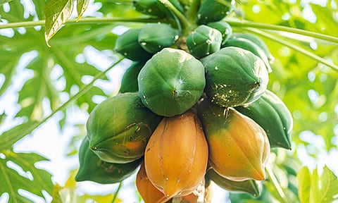 கோப்புபடம்.&nbsp;