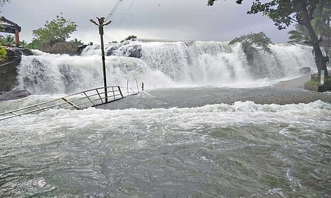 திற்பரப்பு அருவியில் இன்று வெள்ளம் ஆர்ப்பரித்து கொட்டியதை படத்தில் காணலாம்.