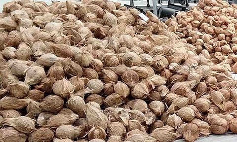 கோப்புபடம்.&nbsp;