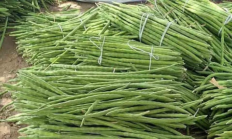 கோப்புபடம்.&nbsp;