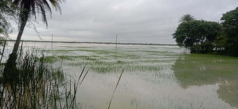 வடலூர் அருகே  500 ஏக்கர் விளைநிலத்தில் வெள்ளநீர் புகுந்தது