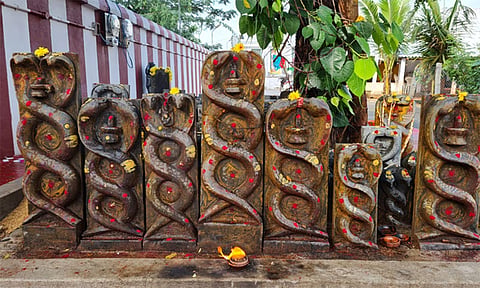 காலசர்ப்ப தோ‌ஷத்தால் ஏற்படும் பாதிப்புகளும் அதற்கான பரிகாரங்களும்...