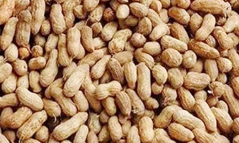 கோப்புபடம்.&nbsp;