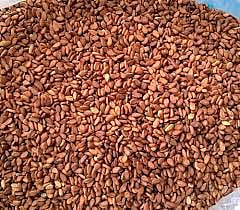 சிவப்பு எள் ஒரு கிலோ ரூ.93-க்கு ஏலம்