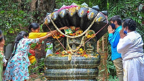 Rahu Ketu Dosham: ராகு - கேது தோஷம் என்றால் என்ன? செய்ய வேண்டிய பரிகாரங்கள்...