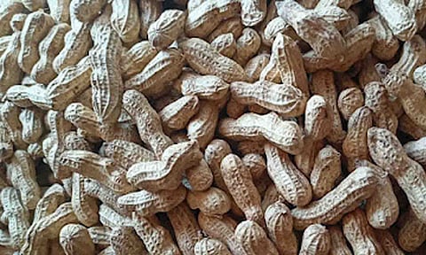 கோப்புபடம்.&nbsp;