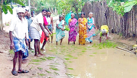 சாலையில் தேங்கிய மழைநீரில் நாற்றுநட்ட கிராமமக்கள்.