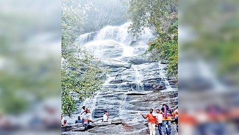 ஏற்காட்டில் விடுமுறையை கொண்டாட இன்று சுற்றுலா பயணிகள் குவிந்தனர். கிளியூர் நீர் வீழ்ச்சியில் குளித்து மகிழும் சுற்றுலா பயணிகளை படத்தில் காணலாம்.