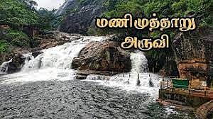 நீர்வரத்து குறைந்ததால் மணிமுத்தாறு அருவியில் சுற்றுலா பயணிகள் குளிக்க அனுமதி