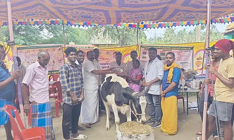 லளிகம் பால் உற்பத்தியாளர்கள் கூட்டுறவு சங்கத்தில்  கால்நடை சுகாதார விழிப்புணர்வு முகாம்