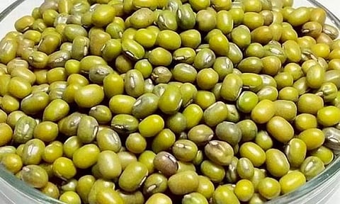 மருத்துவம் அறிவோம்- குடலில் பரவும் கெட்ட பாக்டீரியாக்கள்