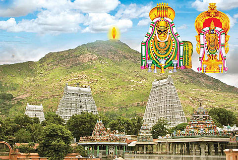 கார்த்திகை தீப திருவிழாவையொட்டி நெல்லையில் இருந்து திருவண்ணாமலைக்கு பஸ்கள் இயக்கம்