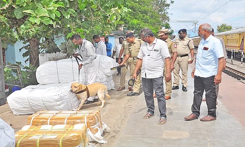 நாகர்கோவில் ரயில் நிலையத்திலிருந்து வெளியூருக்கு அனுப்ப வைக்கப்பட்டிருந்த பார்சல்களை போலீசார் சோதனை செய்தபோது எடுத்த படம்&nbsp;