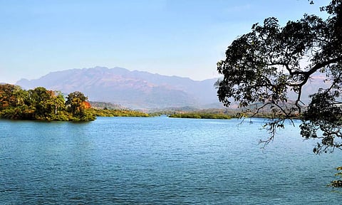கோப்பு படம் : பேச்சிப்பாறை அணைப்பகுதி