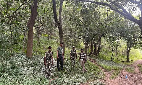 உடுமலை வனப்பகுதியில் விலங்குகள் கணக்கெடுப்பு பணியில் ஈடுபட்ட வனத்துறை பணியாளர்கள். 