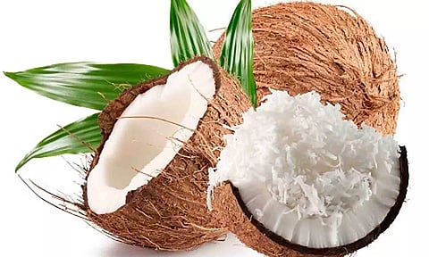 மழை-பனியால் தேங்காய் பருப்பு   உற்பத்தி பாதிப்பு