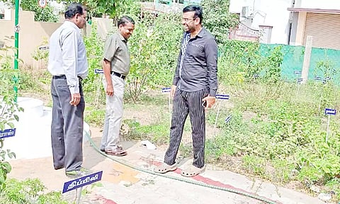 மூலிகை வனத்தை கலெக்டர் அருண் தம்புராஜ் பார்வையிட்டார்.