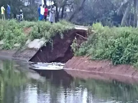 கீழ்பவானி வாய்க்கால் கரைகள்  உடைப்பை சீரமைக்கும் பணி தொடங்கியது