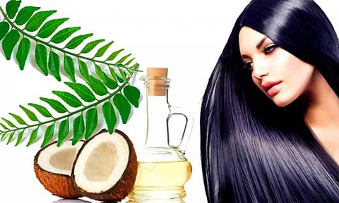 இளநரை வராமல் தடுக்கும் கறிவேப்பிலை எண்ணெயை செய்யலாம் வாங்க...