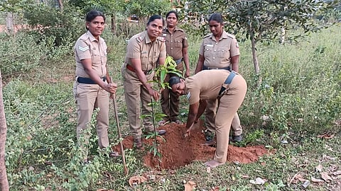 காவல் நிலையத்தில் மரக்கன்று நடும் விழா